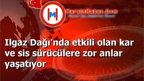 Ilgaz Dağı'nda etkili olan kar ve sis sürücülere zor anlar yaşatıyor