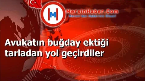 Avukatın buğday ektiği tarladan yol geçirdiler