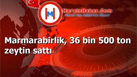 Marmarabirlik, 36 bin 500 ton zeytin sattı