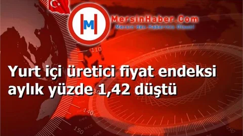 Yurt içi üretici fiyat endeksi aylık yüzde 1,42 düştü