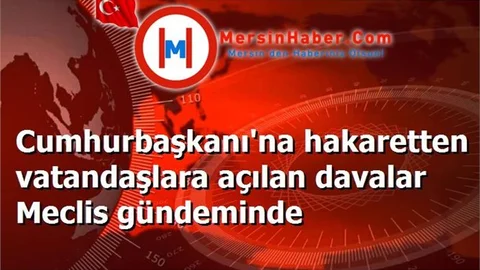 Cumhurbaşkanı'na hakaretten vatandaşlara açılan davalar Meclis gündeminde