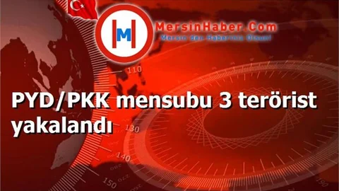 PYD/PKK mensubu 3 terörist yakalandı