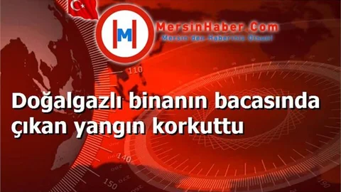 Doğalgazlı binanın bacasında çıkan yangın korkuttu