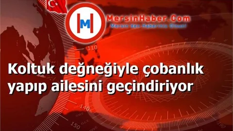 Koltuk değneğiyle çobanlık yapıp ailesini geçindiriyor