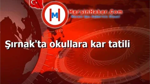 Şırnak'ta okullara kar tatili