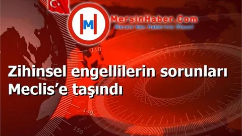 Zihinsel engellilerin sorunları Meclis’e taşındı