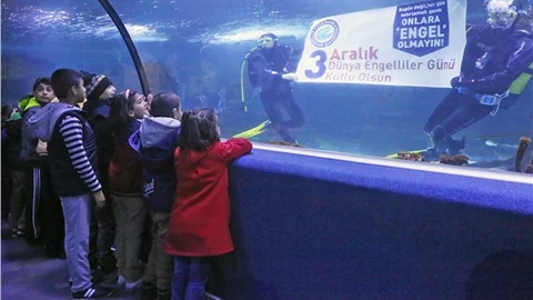 İşitme engelliler sualtı dünyasında