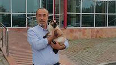 Köpeklerin kavgasını ayırırken kalp krizi geçiren adam bir hafta sonra öldü