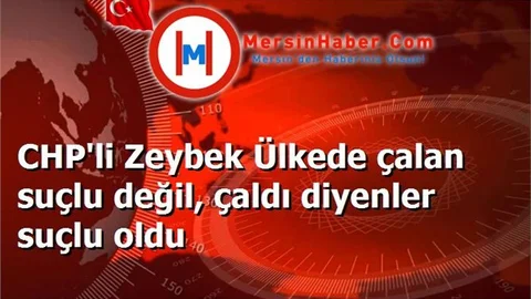 CHP'li Zeybek Ülkede çalan suçlu değil, çaldı diyenler suçlu oldu