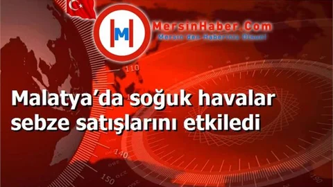 Malatya’da soğuk havalar sebze satışlarını etkiledi
