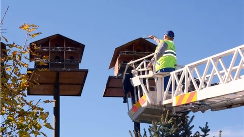 Muğla'da kuş yuvaları temizleniyor