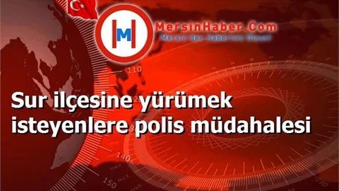 Sur ilçesine yürümek isteyenlere polis müdahalesi