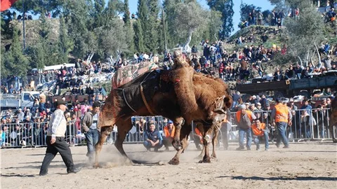 Develer, Koçarlı Belediyespor yararına güreşti