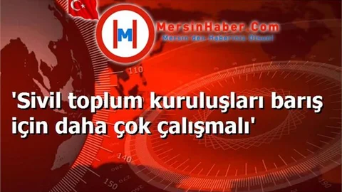 'Sivil toplum kuruluşları barış için daha çok çalışmalı'
