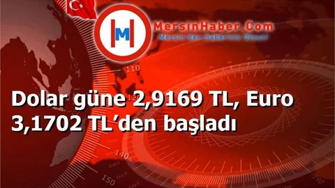 Dolar güne 2,9169 TL, Euro 3,1702 TL’den başladı