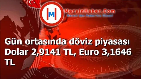 Gün ortasında döviz piyasası Dolar 2,9141 TL, Euro 3,1646 TL