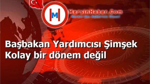 Başbakan Yardımcısı Şimşek Kolay bir dönem değil