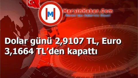 Dolar günü 2,9107 TL, Euro 3,1664 TL’den kapattı