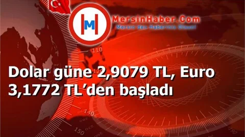 Dolar güne 2,9079 TL, Euro 3,1772 TL’den başladı