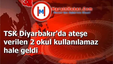 TSK Diyarbakır'da ateşe verilen 2 okul kullanılamaz hale geldi