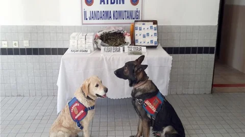 Yolcu otobüslerinde uyuşturucu madde ve kaçak sigara ele geçirildi