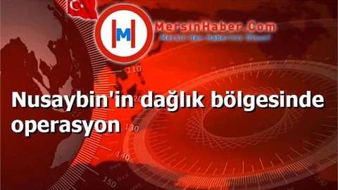 Nusaybin'in dağlık bölgesinde operasyon