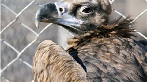 Belediyeden doğal yaşama destek