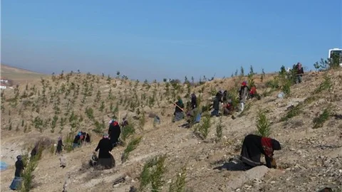 Karakeçili’de fidanlar toprakla buluştu