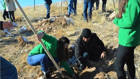 'Yeşil Kırşehir için, bir fidan da siz dikin' etkinliği düzenlendi