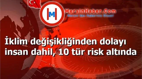 İklim değişikliğinden dolayı insan dahil, 10 tür risk altında