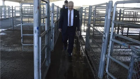 Başkan Kocamaz Tarsus Mezbahası’nda Denetimlerde Bulundu