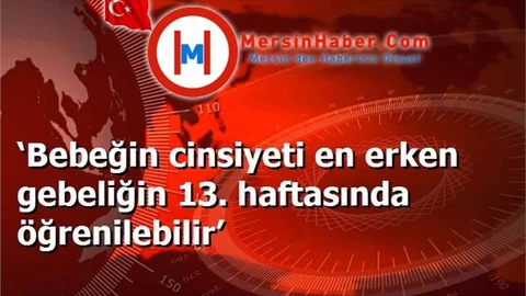 ‘Bebeğin cinsiyeti en erken gebeliğin 13. haftasında öğrenilebilir’