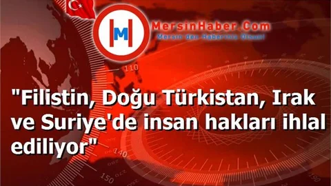 "Filistin, Doğu Türkistan, Irak ve Suriye'de insan hakları ihlal ediliyor"