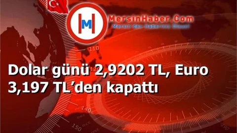 Dolar günü 2,9202 TL, Euro 3,197 TL’den kapattı