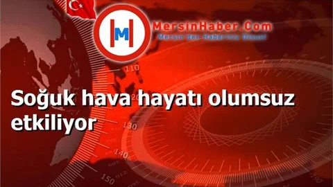 Soğuk hava hayatı olumsuz etkiliyor