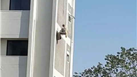 Pakistan’da boyacıların aldığı zayıf güvenlik önlemi kamerada