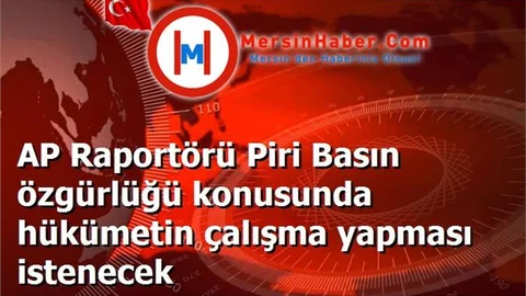 AP Raportörü Piri Basın özgürlüğü konusunda hükümetin çalışma yapması istenecek
