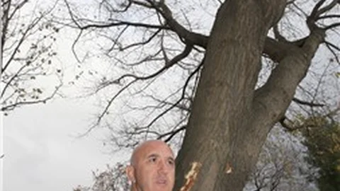 İstanbul'da Teke Böceği ile mücadele