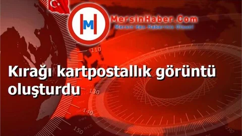 Kırağı kartpostallık görüntü oluşturdu