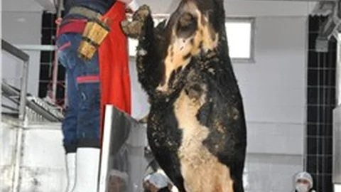 Kırıkkale’ye modern kesimhane kuruldu