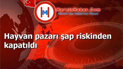 Hayvan pazarı şap riskinden kapatıldı