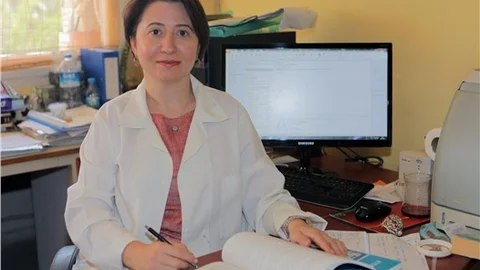 İthal fidelerle Türkiye’ye yeni hastalıklar geliyor