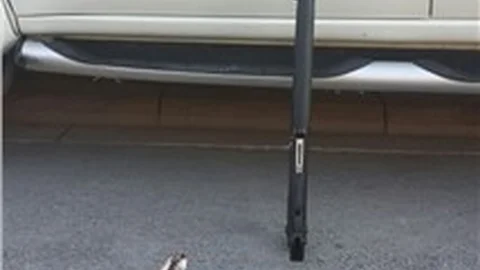 Vurdukları 1 tavşan için araçlarından oldular