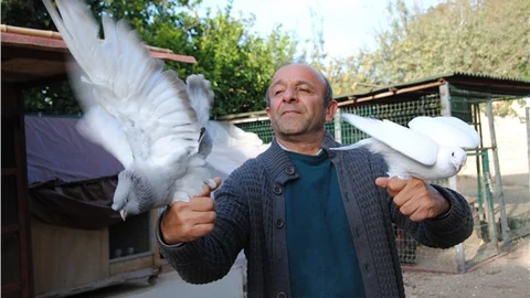 DSP'li Çakmak, Silivri'deki gazetecilere özgürlük için güvercin uçurdu