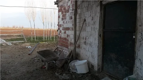 Hırsızlar yaşlı çiftçinin 4 büyükbaş hayvanını çaldı