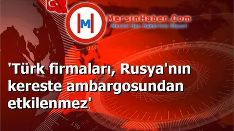 'Türk firmaları, Rusya'nın kereste ambargosundan etkilenmez'