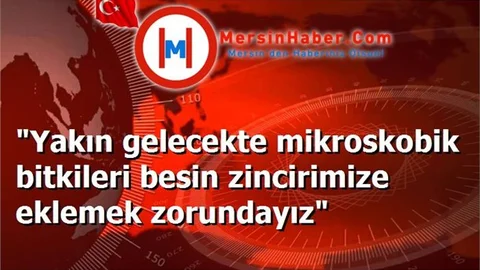 "Yakın gelecekte mikroskobik bitkileri besin zincirimize eklemek zorundayız"