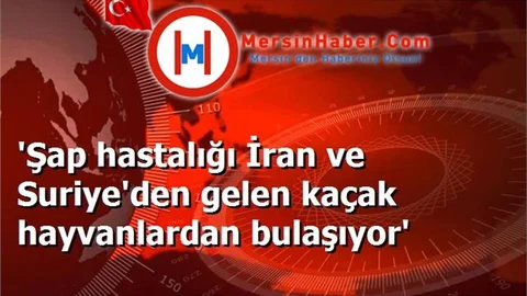 'Şap hastalığı İran ve Suriye'den gelen kaçak hayvanlardan bulaşıyor'