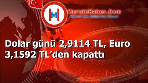 Dolar günü 2,9114 TL, Euro 3,1592 TL’den kapattı