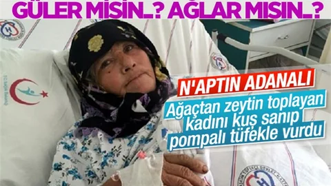 Adana'da Zeytin Toplayan Kadını Kuş Sanıp Vurdular